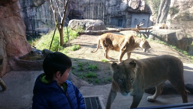 天王寺動物園に行って来ました