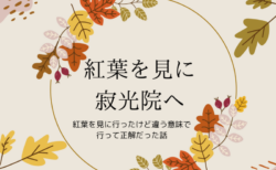 紅葉を見に行ったけど、違う意味で行ってよかった話(寂光院)