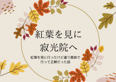 紅葉を見に行ったけど、違う意味で行ってよかった話(寂光院)